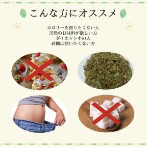 ステビア 50 g 送料無料 農薬検査済 ノン...の詳細画像3