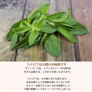 ステビア 50 g 送料無料 農薬検査済 ノン...の詳細画像4
