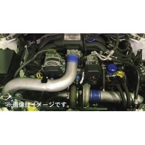 TRUST（トラスト） GReddy ボルトオンターボキット TD06SH-20G 8cm2