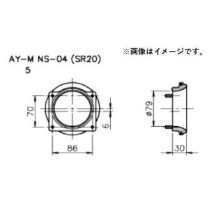TRUST（トラスト） 個人宅発送可能 GReddy AIRINX エアインクス