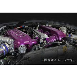 HKS（エッチケーエス） 個人宅発送可能 HKS TWIN INJECTOR PRO KIT