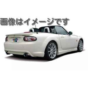 TRUST（トラスト） 個人宅発送可能 GReddy エアロキット リヤトランク