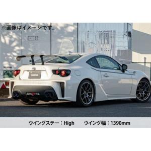 SARD（サード） 自動車関連業者直送限定 GT WING R35 車種専用 GT