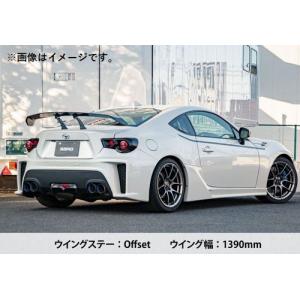SARD（サード） 自動車関連業者直送限定 GT WING R35 車種専用 GT