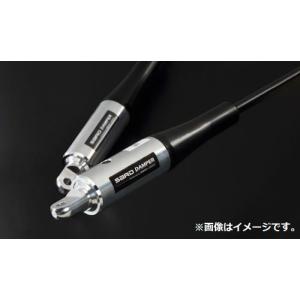 専用② SARD（サード） ダンパー レクサス LX600 VJA310W R4.1〜 V35A-FTS