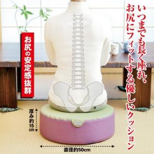 お医者さんのリビング円座クッション｜venusclub