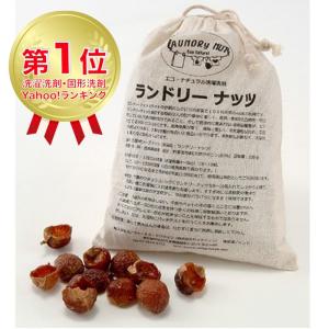 オーガニック 洗濯 洗剤 ランドリーナッツ レギュラー(s...