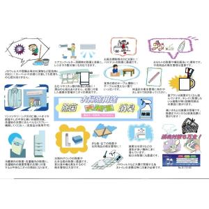 次亜塩素酸水 ドクタープラス500 業務用 5...の詳細画像3
