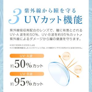 ネオクリアワンデー ワンデー コンタクトレンズ...の詳細画像4