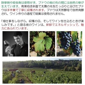 よりどり6本で送料無料 2021 コトー ブル...の詳細画像2