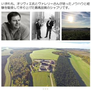 よりどり6本で送料無料 2019 ブルゴーニュ...の詳細画像2
