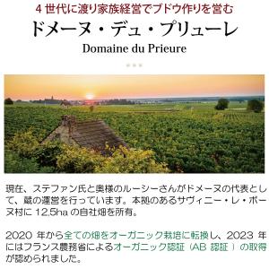 よりどり6本で送料無料 2020 サヴィニー ...の詳細画像1