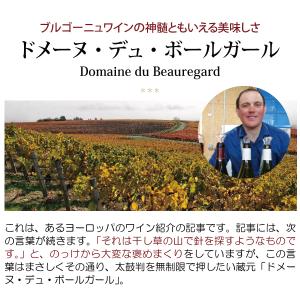 よりどり6本で送料無料 2022 ブルゴーニュ...の詳細画像1