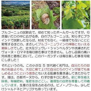 よりどり6本で送料無料 2022 ブルゴーニュ...の詳細画像2