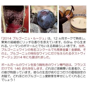 よりどり6本で送料無料 2022 ブルゴーニュ...の詳細画像3