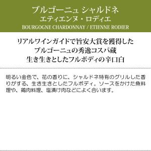 【アウトレット】 よりどり6本で送料無料 20...の詳細画像5