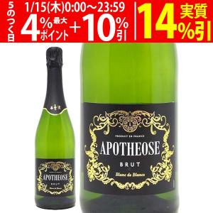 1本あたり825円(税込) 送料無料 スパークリングワイン ヴェレ アル