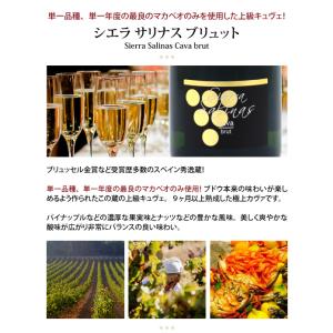 よりどり6本で送料無料 VT シエラ サリナス...の詳細画像1