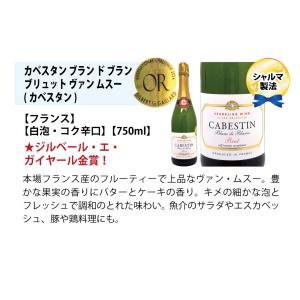ワイン ワインセット 本場フランス産の極上辛口...の詳細画像2