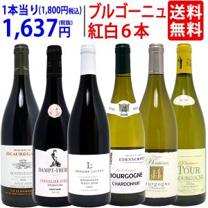 ワイン ワインセット ブルゴーニュ激旨紅白６本セット