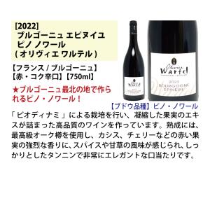 ワイン ワインセット 代表ぶどう品種赤6本セッ...の詳細画像1