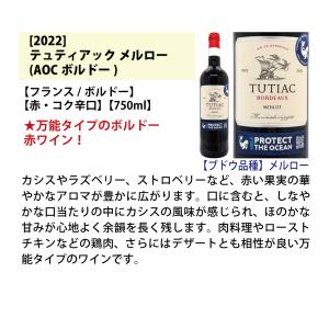 ワイン ワインセット 代表ぶどう品種赤6本セッ...の詳細画像2