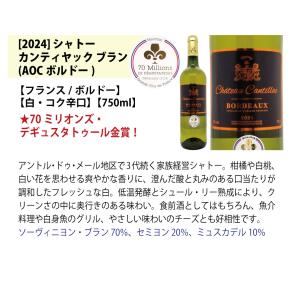 ワイン ワインセット すべて金賞フランス名産地...の詳細画像5