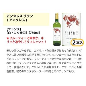 ワイン ワインセット ワイン誌高評価蔵や金賞蔵...の詳細画像2