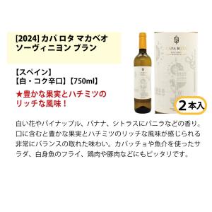 ワイン ワインセット ワイン誌高評価蔵や金賞蔵...の詳細画像4