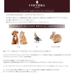 K18YG ココディア ダイヤモンドネックレス...の詳細画像5