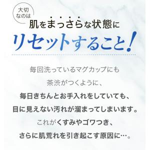 [薬用]ウォッシュパウダー 30包 洗顔 パウ...の詳細画像3