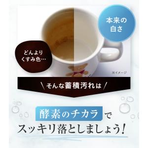[薬用]ウォッシュパウダー 30包 洗顔 パウ...の詳細画像4