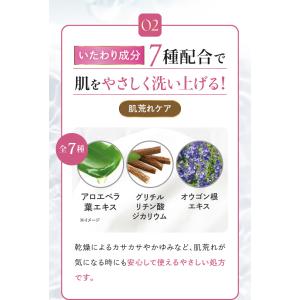 ボディソープ モイスト 90g ヴァーナル 身...の詳細画像4