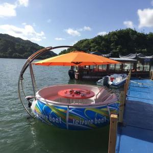 VeroMan 電動式ボート 電動式 水上ボー...の詳細画像3