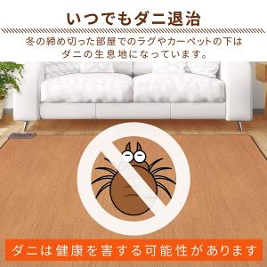 ホットカーペット 1.5畳 本体 木目調 フロ...の詳細画像3