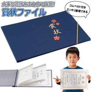 15枚セット　B2ポスター用 カードケース 硬質クリア　収納　クリアホルダー Amazon.co.jp: RAYWOOD B2 ポスターファイル ケース 中紙あり
