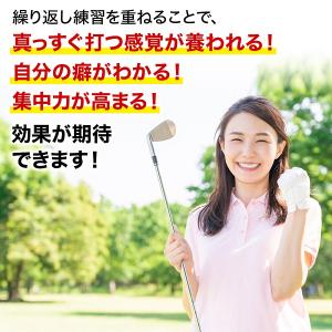 パターマット パター練習器具 パターレール パ...の詳細画像5