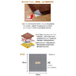 アルミシート 断熱 3畳 厚手 4mm ホット...の詳細画像1