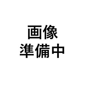 トフィー ノンフライ オーブントースター ノンフライヤー 電気フライヤー Toffy ノンオイル 揚げ物 調理 パン焼き器 スチーム機能 一人暮らし プレゼント
