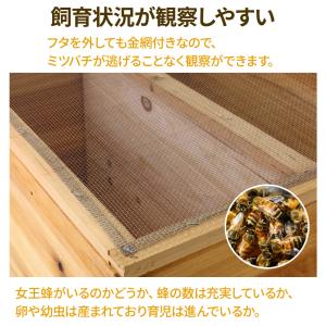 ミツバチ 養蜂 器具 西洋 ミツバチ 巣箱 ミ...の詳細画像2