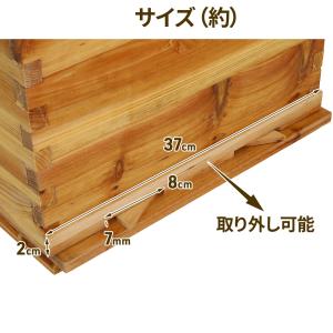 ミツバチ 養蜂 器具 西洋 ミツバチ 巣箱 ミ...の詳細画像4