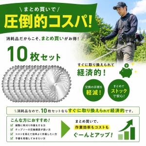 チップソー 255 草刈機 替え刃 草刈機刃 ...の詳細画像1