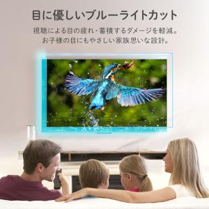 テレビ 保護パネル 32 テレビガード 赤ちゃ...の詳細画像2