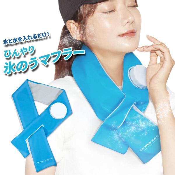 氷嚢 ゴルフ 首 スポーツ 野球 氷のう 熱中症対策グッズ 現場 農作業 子供 暑さ対策グッズ 屋外...