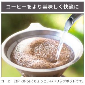 コーヒーポット 細口 ケトル ドリップケトル ...の詳細画像1