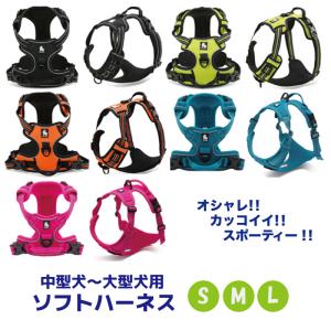 2袋SET アニミューン 14g : OSK store - 通販 - Yahoo!ショッピング