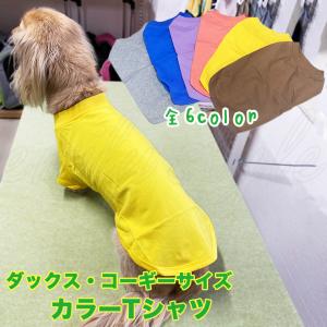 ミニチュアダックスフンド2シルエット ドッグTシャツ 犬服 名入れ
