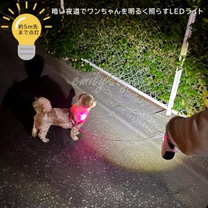 【LEDライト付き伸縮リード&ストラップセット...の詳細画像1