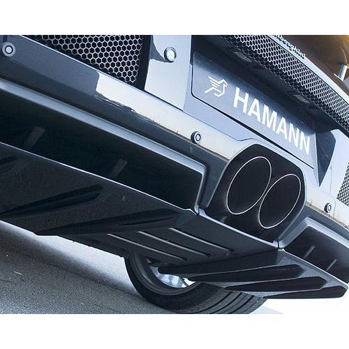 HAMANN ランボルギーニ LP640 リアディフューザー 2Pcs ファイバー
