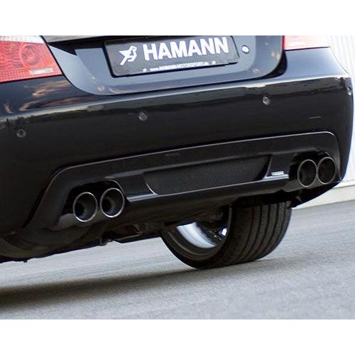 HAMANN BMW 5シリーズ E60 リアセンターモールディング Mスポーツ用